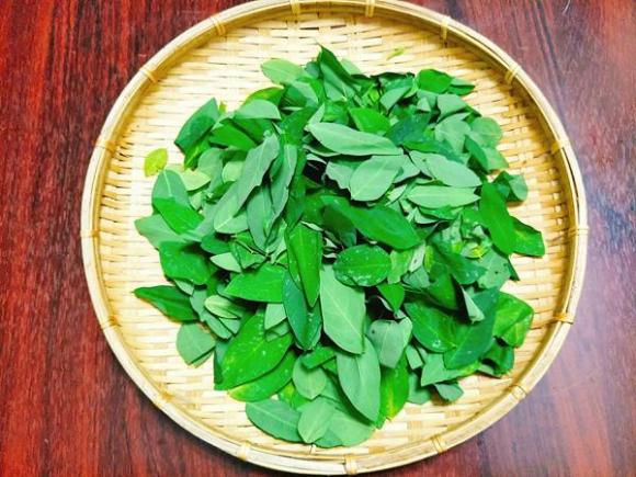 chi can thay rau ngot co mau nay la 99% phun thuoc kich thich, chi em can tranh xa - 1