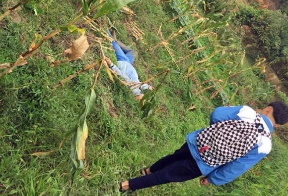Hà Nội: Hai thanh niên nghi trộm chó bị người dân vây đánh gục giữa ruộng