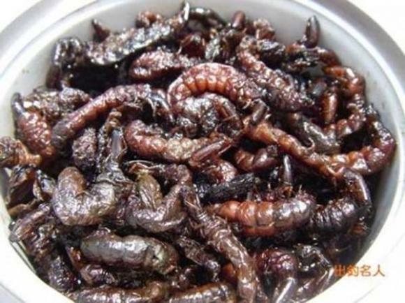 Top 6 món ăn kinh dị bậc nhất trong lịch sử ẩm thực Nhật Bản - 1