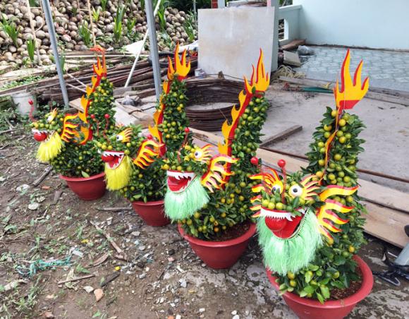 quat kieng hinh heo, rong, huou,...ram ro 'do bo' vao chung tet 2019 hinh anh 4