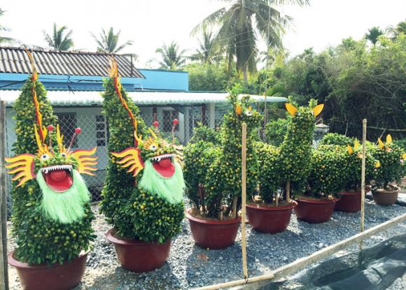 quat kieng hinh heo, rong, huou,...ram ro 'do bo' vao chung tet 2019 hinh anh 2