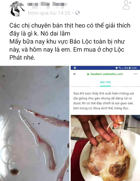 Tung tin nhiễm sán heo, một phụ nữ bị phạt 10 triệu đồng - 1