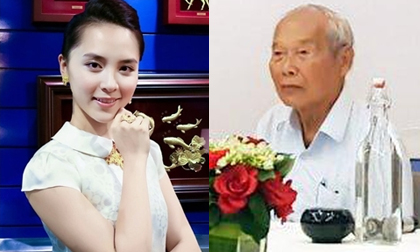 Á hậu Hoàn Vũ Việt Nam 2008 Dương Trương Thiên Lý bất ngờ bị bố chồng tố cáo âm mưu chiếm đoạt tài sản nghìn tỷ