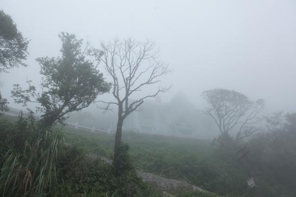 anh: suong mu giang kin loi, tam dao dep tua troi au hinh anh 2