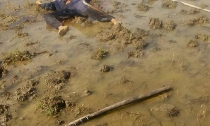 Hai chú cháu ruột đâm nhau và cùng chết ở ngoài đồng