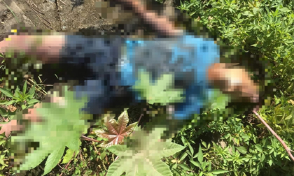 Phát hiện thi thể một người đàn ông tại bờ đê Sông Đà