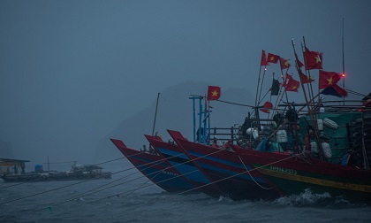 14 tàu cá Quảng Bình mất liên lạc khi tránh bão tại đảo Hải Nam