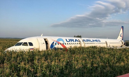Chim lao vào động cơ, máy bay đáp bằng bụng xuống cánh đồng ở Nga