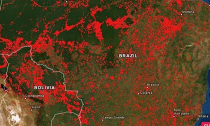 Cháy rừng Amazon tàn phá Trái đất hơn vũ khí huỷ diệt hàng loạt