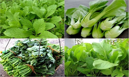 10 siêu thực phẩm giúp thanh lọc phổi tốt nhất, ai cũng nên ăn mỗi ngày