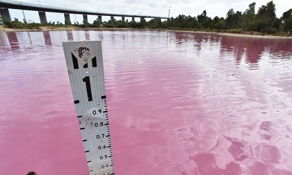 Kỳ lạ hồ nước hồng rực ở Úc