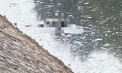Hà Nội: Phát hiện thi thể người đàn ông nổi lập lờ trên sông Kim Ngưu