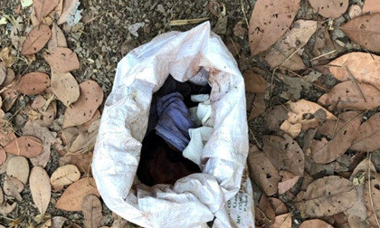 Tá hỏa phát hiện thi thể trẻ sơ sinh trong bao tải giữa vườn điều