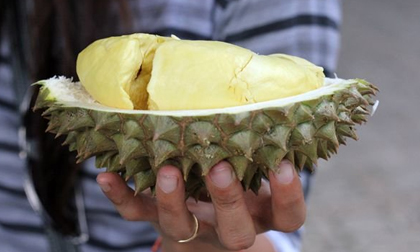 Món ăn đại gia: Có gì bên trong Vua sầu riêng 1,1 tỷ đồng?