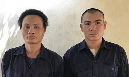 Dùng súng uy hiếp, hành hạ rồi cướp chim của con nợ để đòi tiền