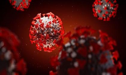 Virus corona tiếp tục đột biến, đã có 8 biến thể trên toàn cầu