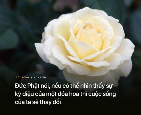 10 bài học từ những lời dạy của Đức Phật: Để không bị tổn thương hãy nhớ kỹ điều số 8 - Ảnh 6.