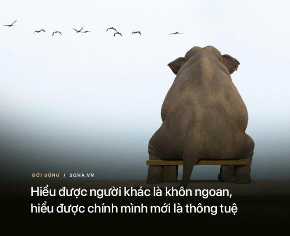 10 bài học từ những lời dạy của Đức Phật: Để không bị tổn thương hãy nhớ kỹ điều số 8 - Ảnh 2.