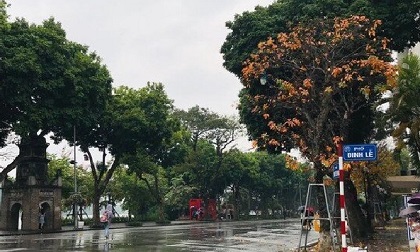 Dự báo thời tiết hôm nay ngày 1/4: Miền Bắc có mưa phùn, trời lạnh