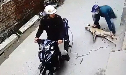 Triệu tập 2 tên trộm chó nghi giết người dân truy đuổi ở Ninh Bình