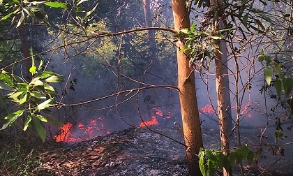 3 giờ chữa cháy rừng tràm hơn 5.000m2 nằm sát sân bay Đà Nẵng