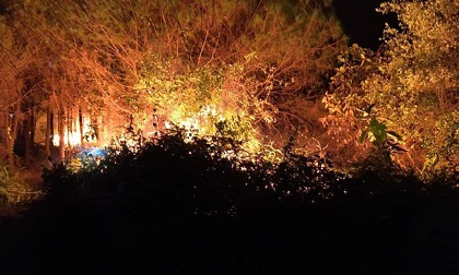 Cháy rừng cao su ở Hà Tĩnh, nguy cơ lan sang rừng thông lâu năm