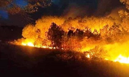 Rừng thông lại bốc cháy ngùn ngụt ở Nghệ An
