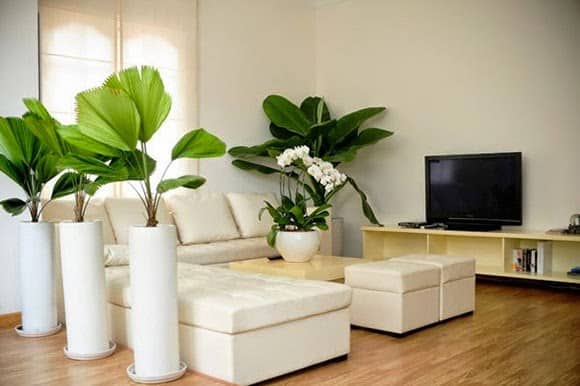 Sắp xếp lại nhà cửa đón Thần Tài ghé thăm