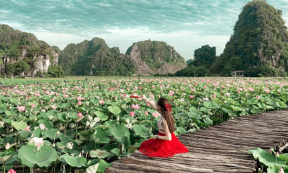 Ninh Bình sau dịch Covid-19: Đầm sen Hang Múa là điểm nhấn thu hút khách du lịch