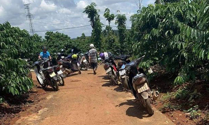 Vụ phát hiện 3 cha con tử vong: Nghi sát hại con rồi tự tử