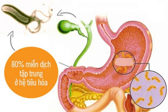 28 tuổi bị ung thư dạ dày giai đoạn cuối, BS khẩn thiết: Người trẻ đừng mắc sai lầm này