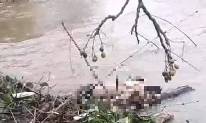Huế: Phát hiện thi thể người đàn ông bên bờ sông Lợi Nông