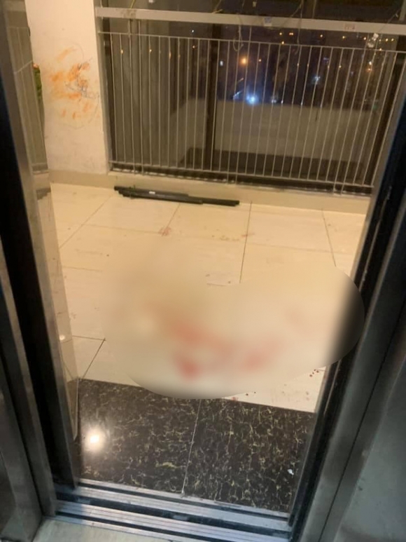 Hà Nội: Nghịch tử nghi 'ngáo đá' dùng dao sát hại mẹ ruột dã man tại chung cư
