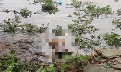 Thi thể nữ sinh mất tích 2 ngày nổi trên sông Vàm Cỏ