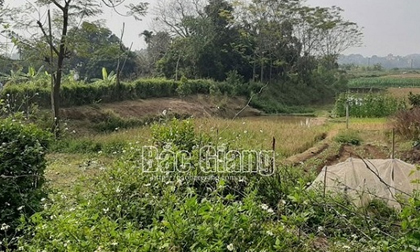Đôi nam nữ tử vong bất thường trong lều cá giữa cánh đồng ở Bắc Giang