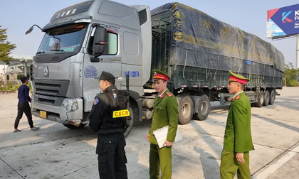 Triệt phá đường dây cực lớn dùng 14 xe container chở hàng lậu từ Trung Quốc về