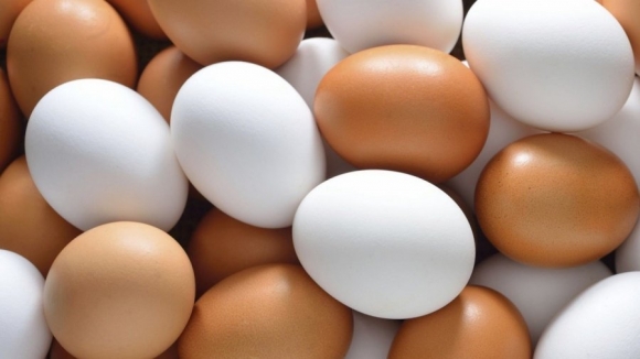 10 quan niệm sai lầm khi ăn trứng nhiều người vẫn tin sái cổ, đừng bị 'dọa' mà bỏ qua thực phẩm vàng này