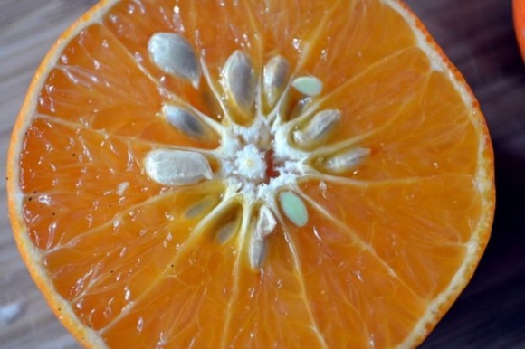 5 loại hạt trái cây người Việt thường bỏ đi nhưng lại là 'thần dược' cho sức khỏe