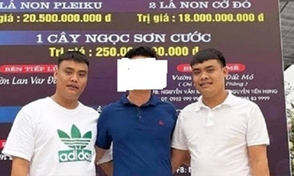 Bắt anh em 'đại gia lan đột biến' ở Quảng Ninh khai thác hàng triệu tấn than lậu
