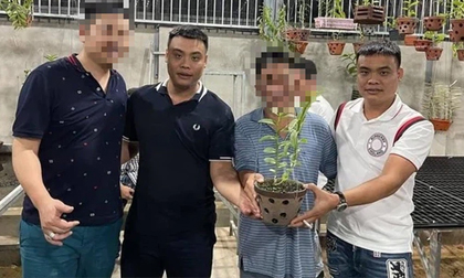 Anh em 'đại gia lan đột biến Quảng Ninh' có thể đối mặt bản án 7 năm tù, phạt 7 tỷ đồng?