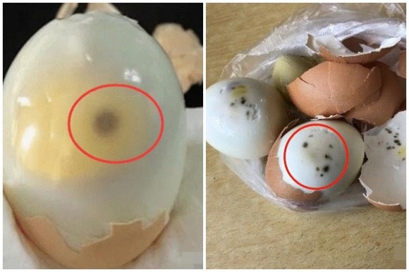 Trứng rất tốt nhưng có 6 loại 'trứng độc' tuyệt đối không được ăn kẻo rước bệnh vào thân