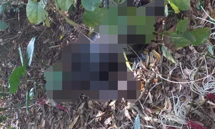 Phát hiện thi thể ở Thái Nguyên là nam giới đang phân huỷ mạnh trong bụi cây rậm rạp