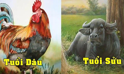 Thần Tài chỉ đích danh 4 con giáp trúng số độc đắc, ôm khối tài sản khủng trong năm 2022