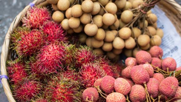 Những loại quả ở Việt Nam rẻ như cho nhưng bán ra nước ngoài gần nửa triệu đồng/kg - Ảnh 1.