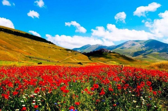 Kỳ diệu ngôi làng cổ nằm lơ lửng ở độ cao 1452 mét, cứ đến mùa hè là biến thành thảm hoa đầy màu sắc giữa châu Âu - Ảnh 5.