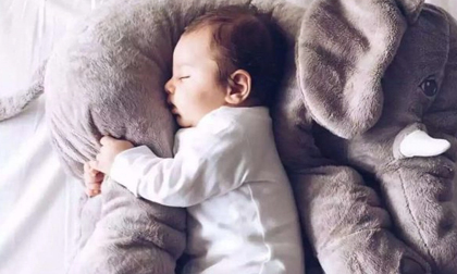 Trẻ ngủ sớm và trẻ ngủ muộn có sự khác biệt rõ ràng khi lớn lên: Không chỉ thấp còi mà còn giảm IQ đáng kể, bố mẹ cần lưu ý