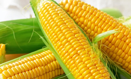 Top 5 thực phẩm ăn vào buổi sáng giúp nhân đôi tuổi thọ, lại rẻ tốt gấp vạn lần bún phở