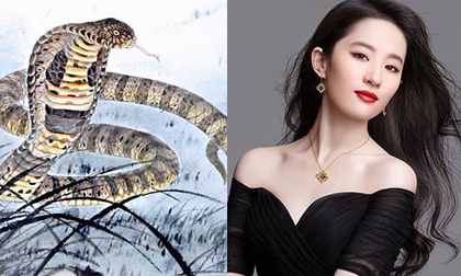 3 con giáp thiện lương đại phú quý, nửa đời sau phát tài, tiền tiêu cả quyển