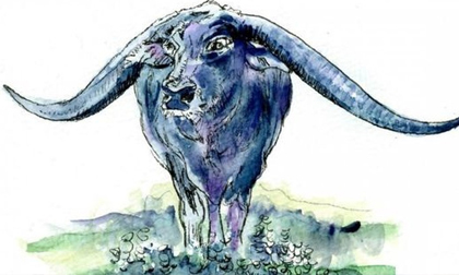 Nửa đầu năm 2023: 3 con giáp 'không làm tỷ phú cũng thăng hạng triệu phú', có của ăn của để