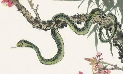 Vận xui chưa hết: Cuối năm Nhâm Dần 2022 3 con giáp này nên thận trọng kẻo mất cả cơ ngơi